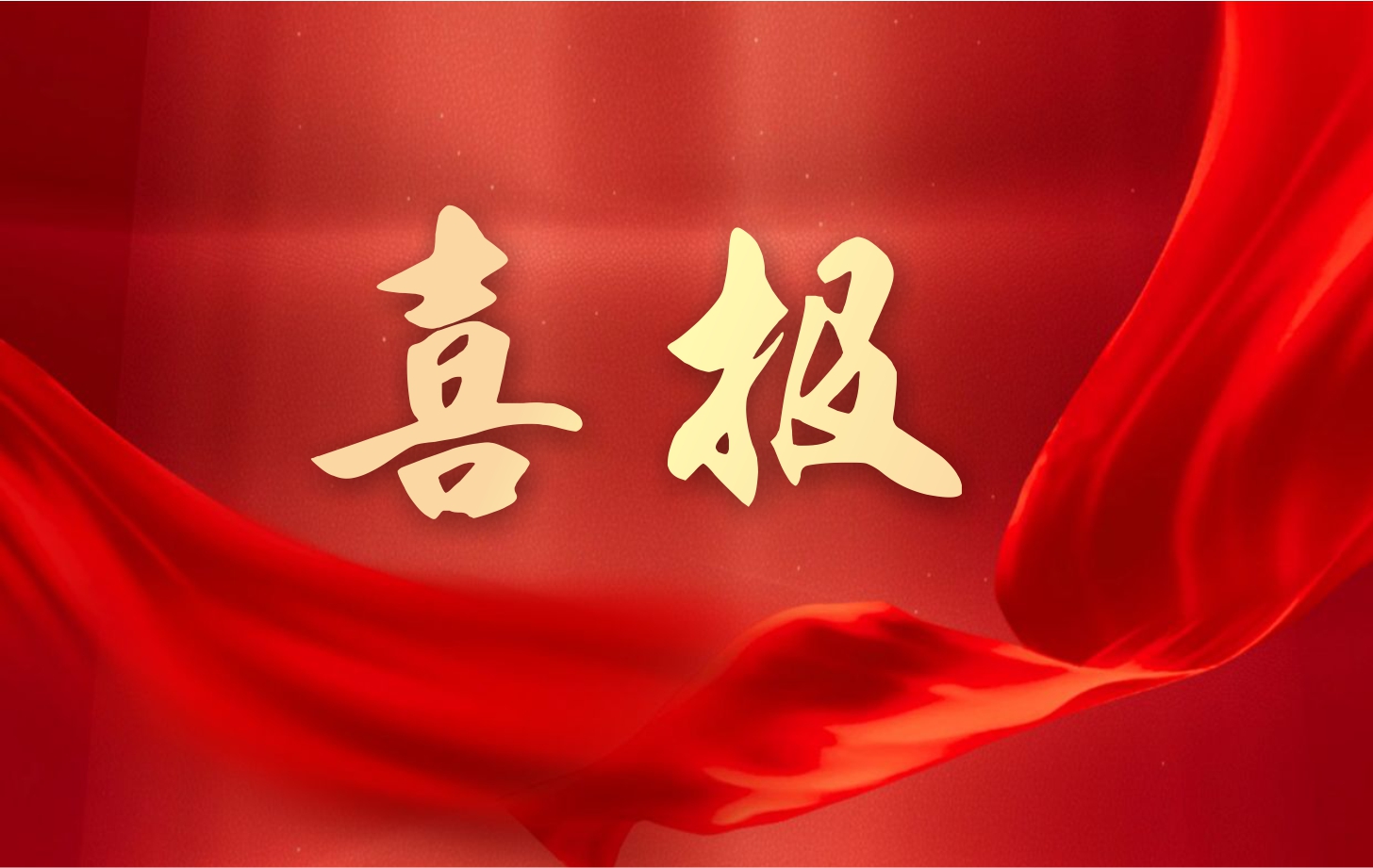 营收净利双增长！百乐博电子2025年一季度经营业绩续写高质量发展华章
